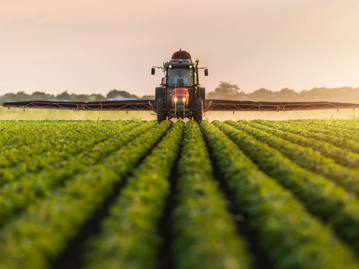 agricoltura italiana