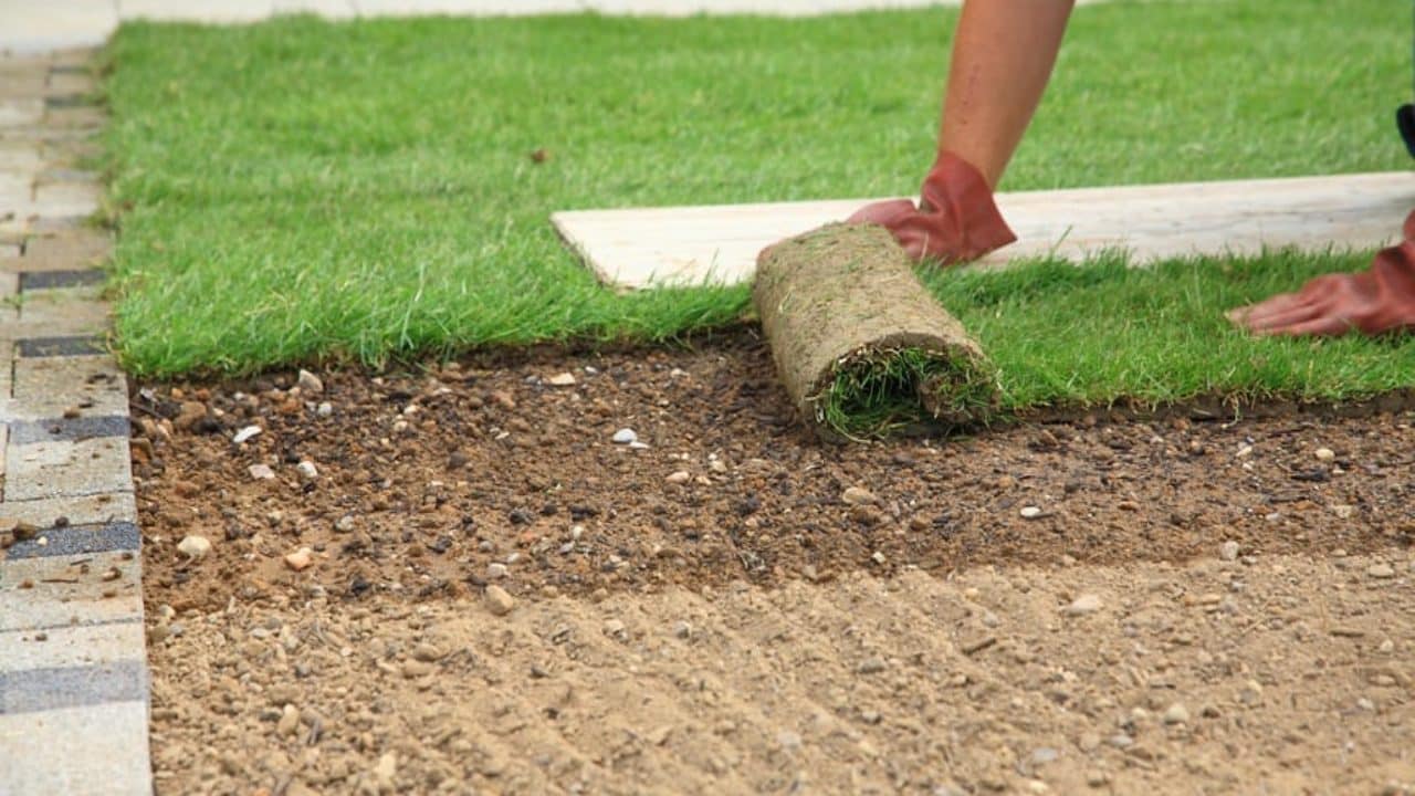 prato-rotoli-preparazione-terreno